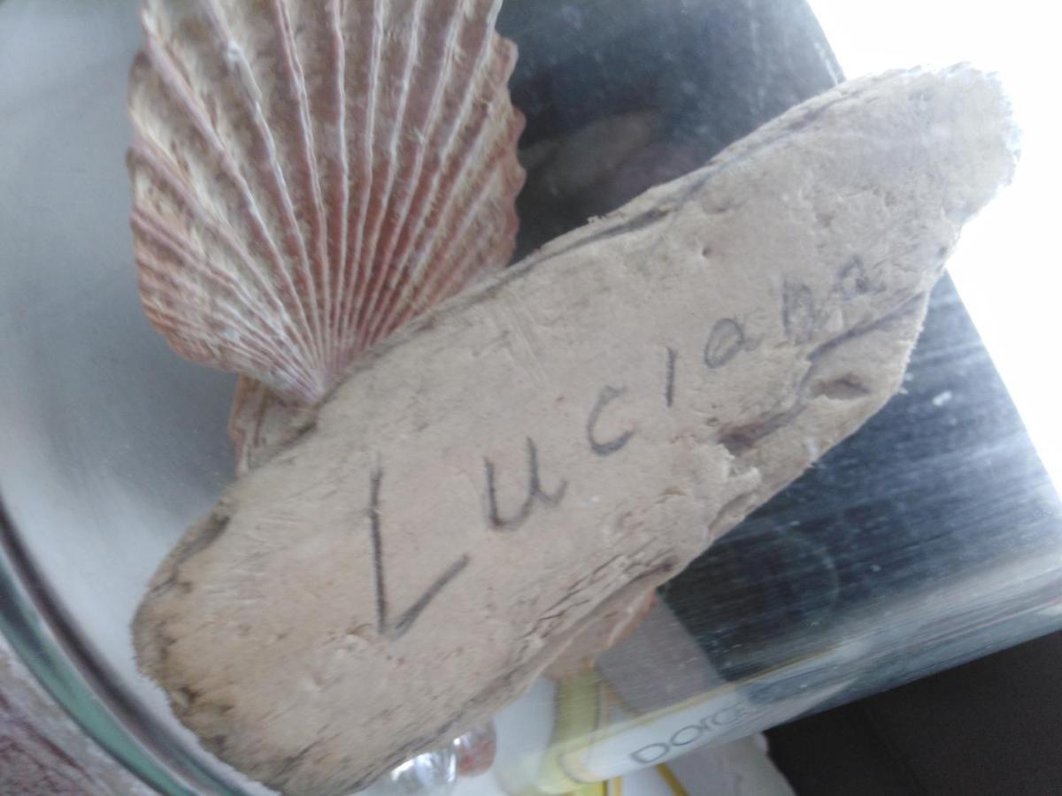 자다르 Luciana 아파트 외부 사진